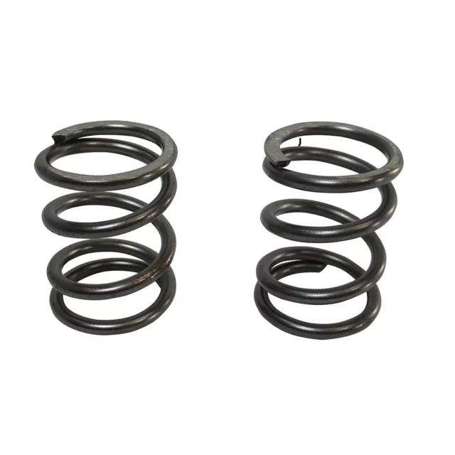 (2) Pack Of 26Lb Valve Springs, White DJ-1056