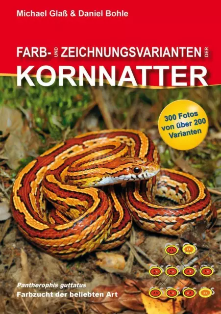 Farb- und Zeichnungsvarianten der Kornnatter | Michael Glaß (u. a.) | Deutsch