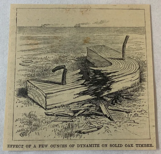 1885 Piccolo Rivista Incisione ~ Effetto Di Dynamite Su Massiccio Quercia Legno