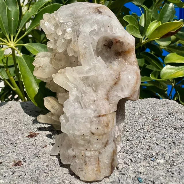 1.24LB  Natural crystal cluster quartz mineral specimen, hand carved skull.