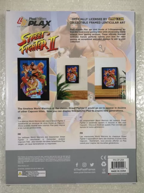 Pixel Frames Street Fighter Ii (2) The World Warriors (25Cm X 30Cm) Official Cap 2