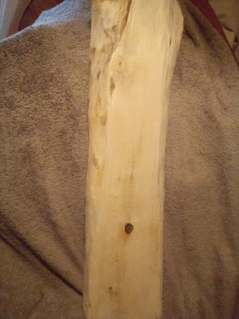Tavola di Legno di Betulla Spalata per Arte/Artigianato/Pirografia