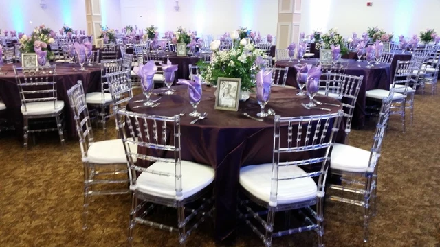 100 Clear Chiavari Resin Chair with soft  vinyl  Cushion