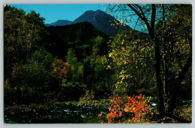 Postcard American Fork Canyon Wasatch Mountains Mount Timpanogos Utah