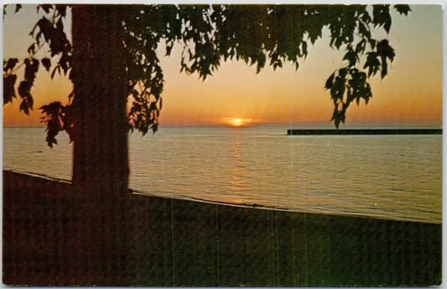 Michigan Thumb Scenery Sunset Port Austin Michigan Small Craft Harbor Postcard