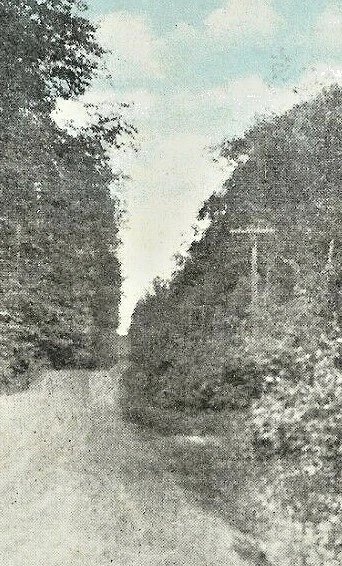 c1907 Crystal Falls, MI, Woodland Drive, hand tinted? colored?, dirt road