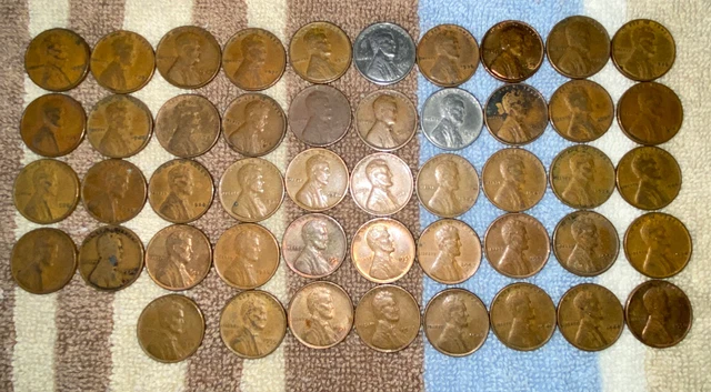 1 US Lincoln Wheat Cent Penny Roll 1913-S/1909 VDB (50 Coins) Old Vintage 7