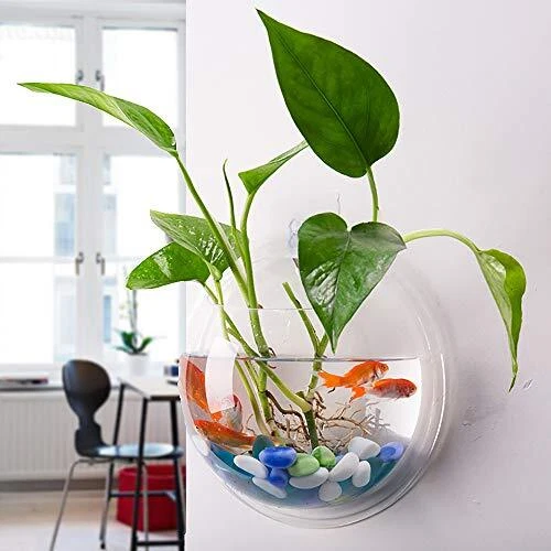 kathson Wall Fish Bowl Acrylic Hanging Aquarium Wall Mounted Bubble Betta... 5