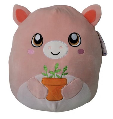 squishmallow plant
