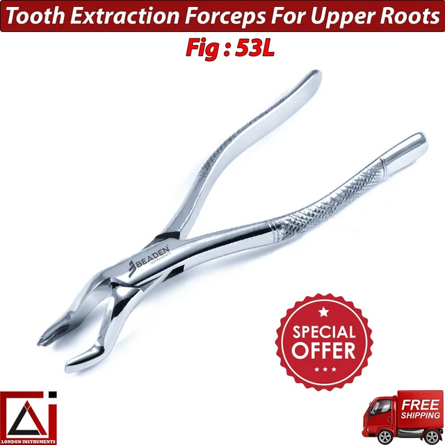 ORTHODONTIC DENTAL SURGICAL Tooth Extraction Forceps Pliers Fig 53L