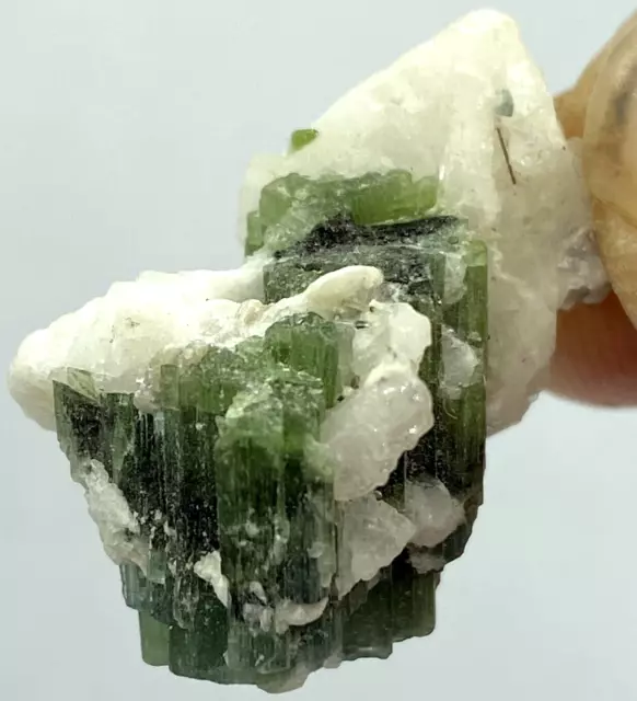 06 Gram Stunning Quality Natural Green Indicolite Color Tourmaline Crystals Bunc