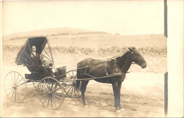 HORSE-DRAWN CARRIAGE original real photo postcard rppc MAN IN BUGGY ROAD c1910