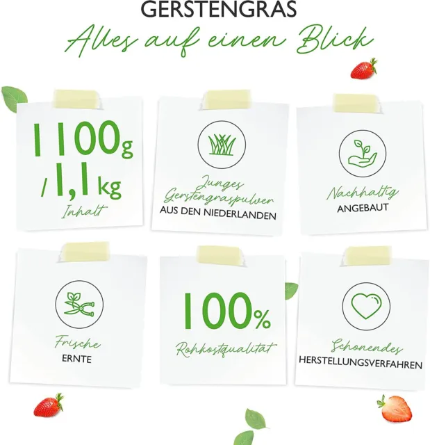 1,1kg / 1100g GERSTENGRAS - Junges Gerstengras-Pulver - Premium Qualität Vegan 2
