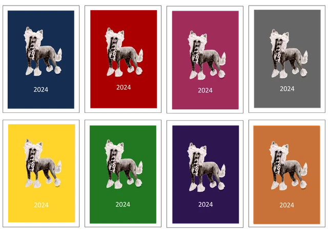 Chinese Crested Week to View Diary: A5 A6 A4 Dog Show, Normal or Appointment