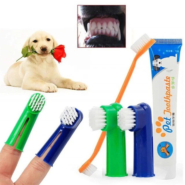 de dientes de limpieza para mascotas Pasta de dientes para limpieza de mascotas