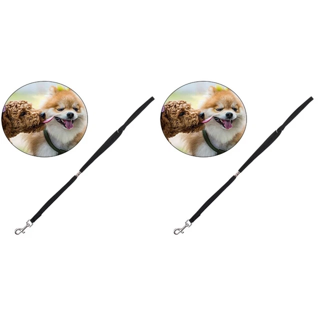 2 pezzi imbracatura toelettatura cane guinzaglio animale domestico cappio anello corda in nylon