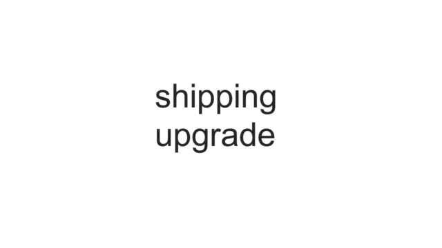 Shipping upgrade 30USD