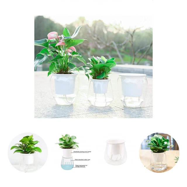 Set di 3 sfere di vetro per l'irrigazione delle piante, inserto autoirrigante per piante da interno e da esterno, forniture per il giardinaggio | Leroy Merlin