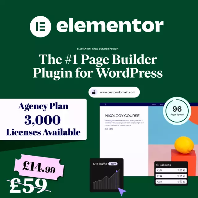 Elementor Pro WordPress Page Builder Plugin With 100+ Widgets & 300+ Templates