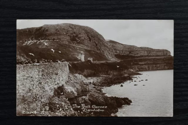 Postcard The Gull Corner Llandudno Wales Posted c1920s Real Photo RP