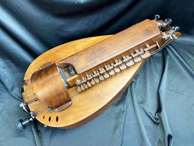 Cochon modèle Hurdy-Gurdy / marron noyer / 24 clés / livre ukrainienne 7