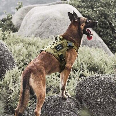 Imbracatura tattica per cani Militare Addestramento Pettorina Regolabile M/L