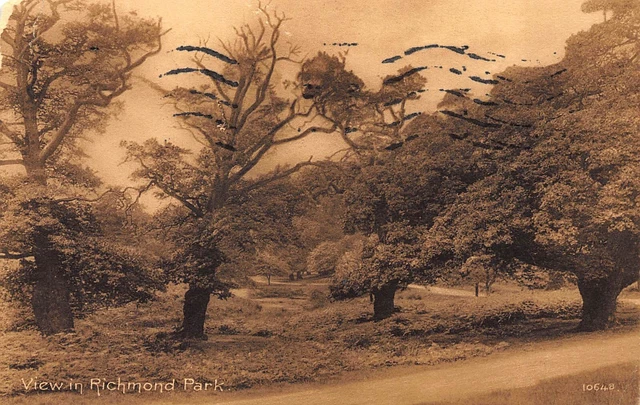 Postcard View Richmond Park England Vintage posted c1919