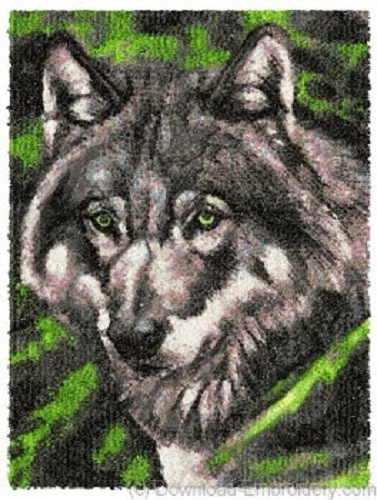 Embroidered Sweatshirt - Wolf DLE1391