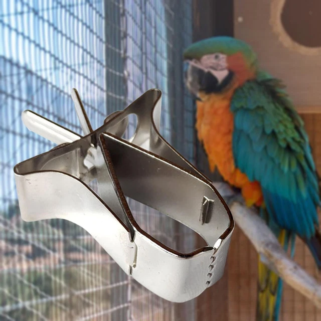 Vogelkäfig Obst Gemüse Clip Feeder Clip für Papagei Wellensittich