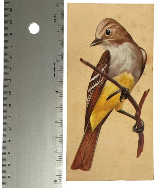 The Art Of Identification vrogue.co