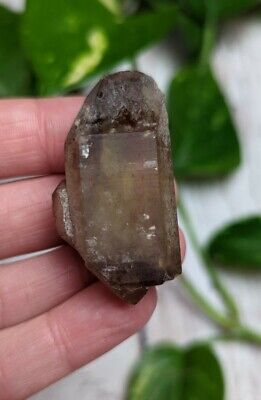 1.6" Rare CITRINE Untreated Crystal Point S1 Charged Zambia 24g *Read Below*