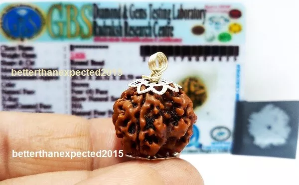 4 Mukhi Rudraksha Four Face Rudraksh Nepal Bead Silver Pendant LAB CERTIFIED AA+