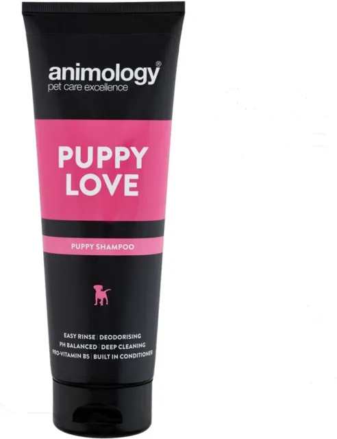 Animology Puppy Love Mild Dog Shampoo, 250 ml (Pack of 1) 250