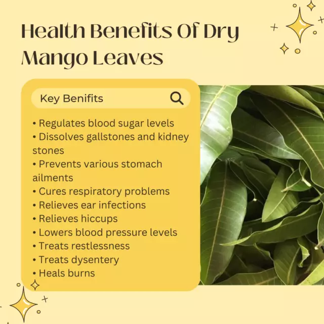 Polvo de hoja de mango fresco y seco para diabéticos 100% hojas orgánicas... 2