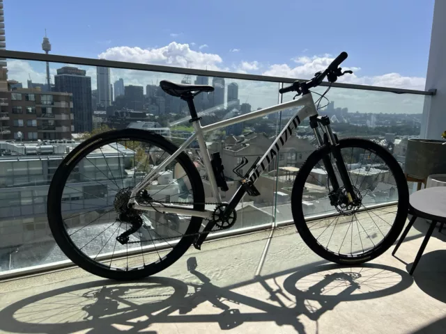 2020 Specialized Rockhopper