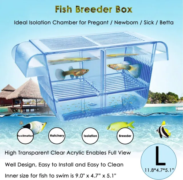 Fish Breeding Box Aquarium Acrylic Isolation Box & Suction Cups for Baby Fishes