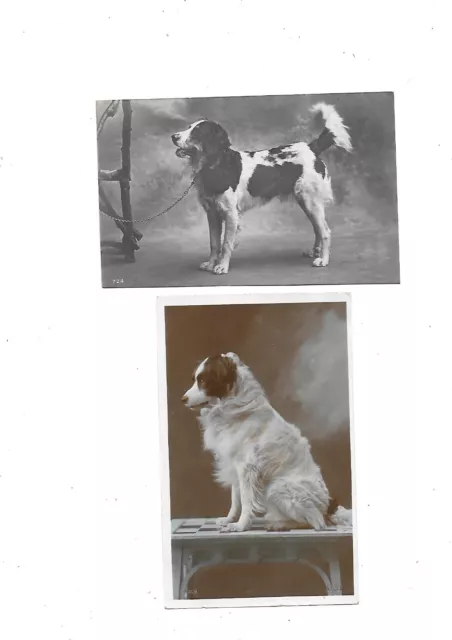 2 CPA carte postale  ancienne chiens photographies DOL