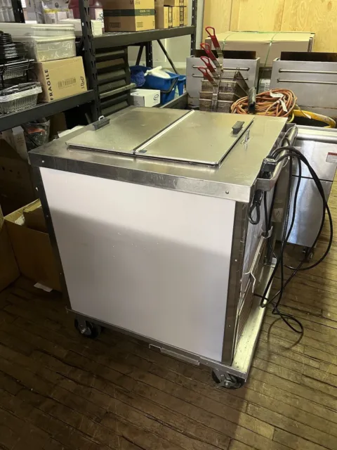 Nelson Ice Cream Frozen Desert Freezer Cart Rolling Indoor Outdoor BD-4CE Tested