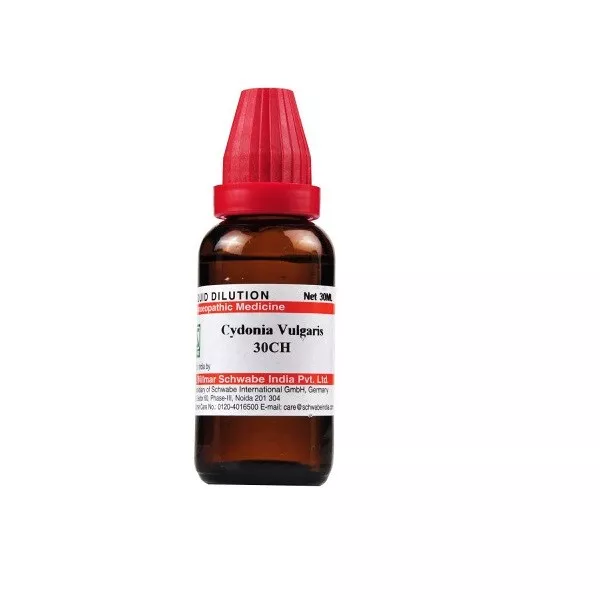 Willmar Schwabe India Cydonia Vulgaris 30 CH (30 ml)