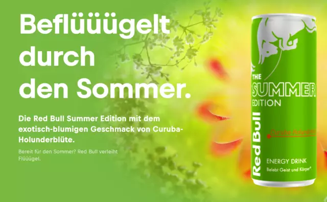 Red Bull Curuba  Holunderblüte Summer Edition 2024  250 ml Sugar Free