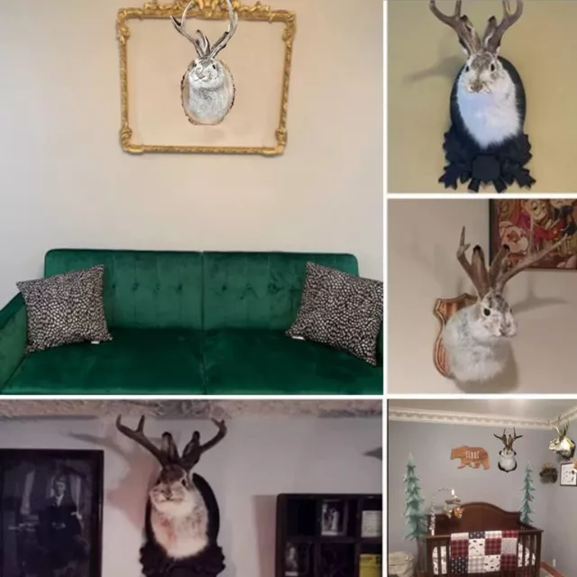 Taxidermy, Animal Head Wall Decor, Deer Head Wall Mount,Animal Wall Mount Decor 3