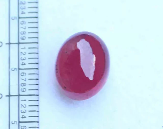 Natural Ruby Cab Oval Cabochon 10*13 Mm 10.70 CT Loose Gemstone