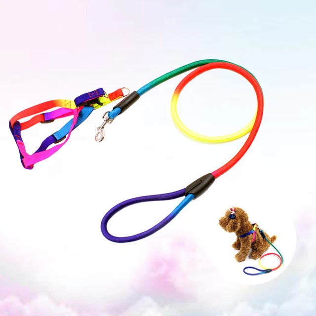 Collari Cani Colore Arcobaleno Imbracatura Cuccioli Guinzagli Cinghie Torace Animale Animale Animale