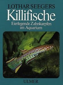 KILLIFISCHE. EIERLEGENDE ZAHNKARPFEN im Aquarium Livre état bon EUR