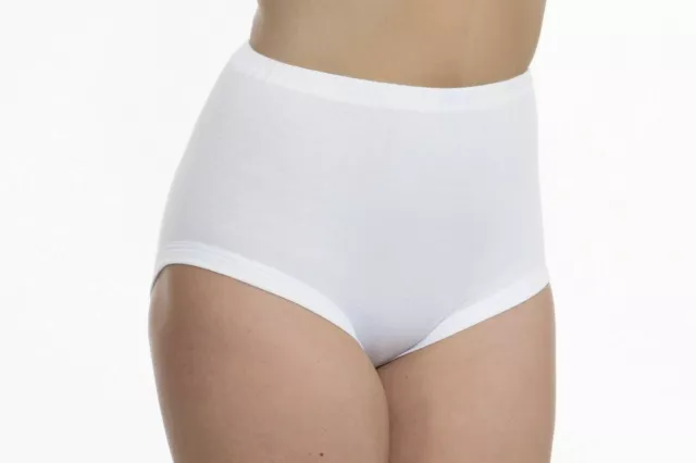Ladies Cotton / Polyester Briefs Womens Pants Underwear 12 14 16 18 20  Knickers 
