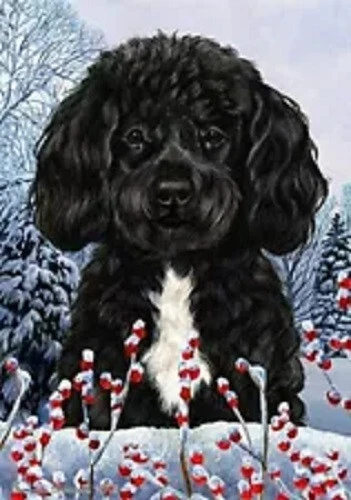 Winter Garden Flag - Bearded Black and White Portuguese Water Dog 159111