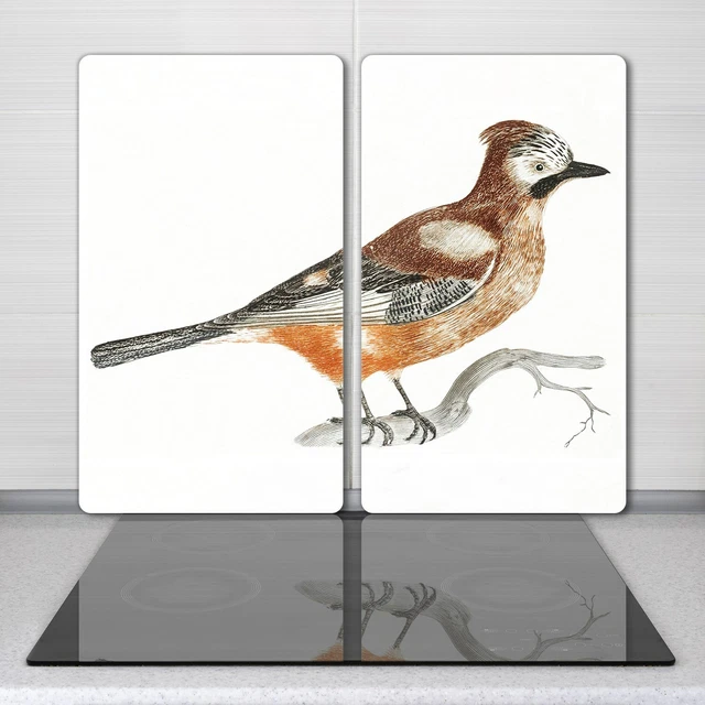 Planches à Découper En Verre Trempé - Lot De 2 - Motif Hibou Sur Branche - 40 X 52 Cm - Coloray