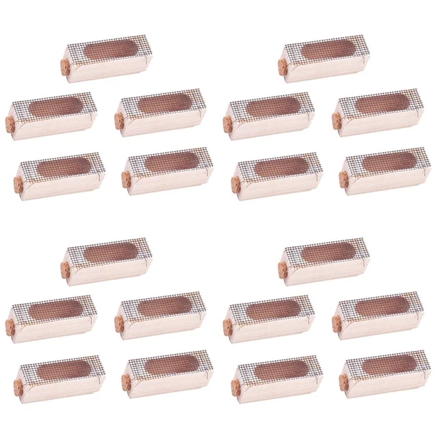 20 pz forniture per apicoltura strumento per apicoltura apicoltore