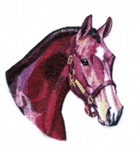 Embroidered Ladies T-Shirt - Hunter Horse BT3999 Sizes S - XXL