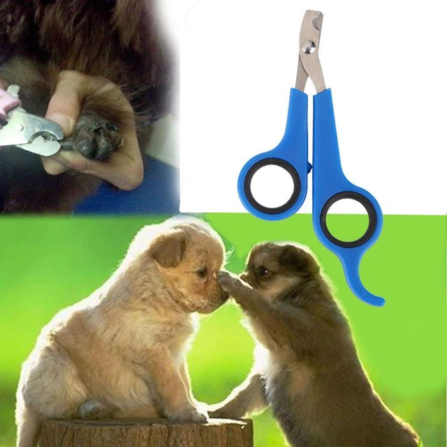 Tagliaunghie punta per animali domestici in acciaio inox forbici cane gatto tagliaartigli strumento U